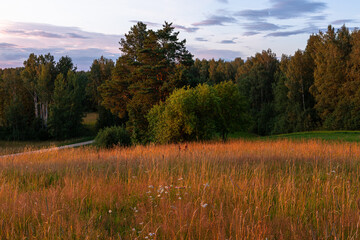 Fototapeta na wymiar summer landscapes with clouds, forests and fields at sunset