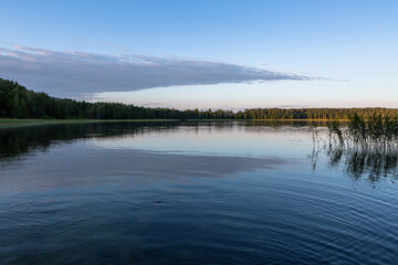 Lake with water lily leaves in stumps