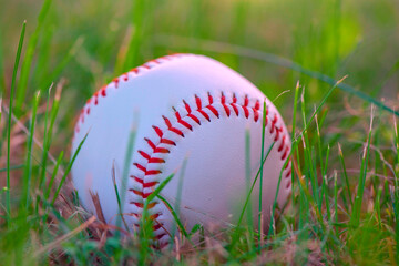 Baseball ball on green grass. Close-up photographed.