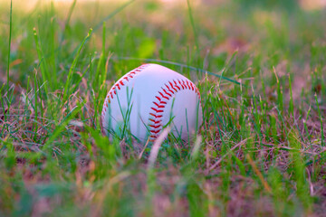 Baseball ball on green grass. Close-up photographed.