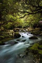 small waterfall in the forest