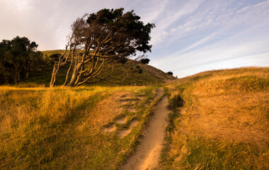 Fototapeta premium wharariki beach, new zealand