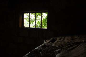 Light enters a dark barn through a small window in which a green tree is visible.