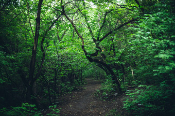 Obraz premium Trash scattered in forest among plants. Toxic plastic into nature everywhere. Rubbish heap in park among vegetation. Contaminated soil. Environmental pollution. Ecological issue. Throw trash anywhere.