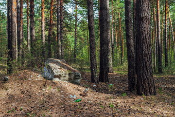 Garbage pile in forest among plants. Toxic plastic into nature everywhere. Rubbish heap in park...