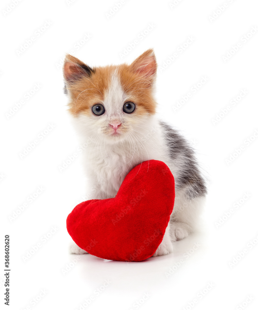 Sticker kitten with toy heart.