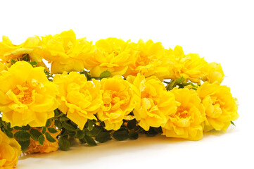 Bouquet of yellow roses.