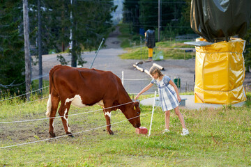 Fototapeta na wymiar A girl pets a cow. Shot at Tryvann, Oslo, Norway.