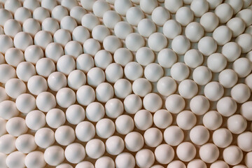 Background of chicken white eggs in a rows