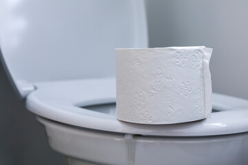 Toilettenpapierrolle auf der Toilette im Badezimmer