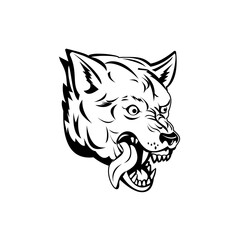 Head of an Aggressive and Angry Gray Wolf Grey Wolf or Canis Lupus Mascot Black and White
