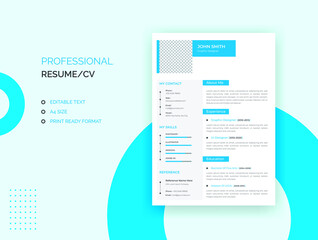 Professional resume, cv template