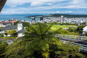 View of Wellington-capital of New Zealand from above