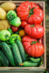 Closeup of fresh tomatoes and cucumbers in wooden box