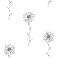 Flowers seamless pattern, Daisy flowers blossom on white wallpaper.	