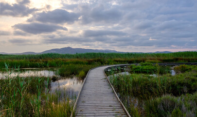 Marjal del Moro wetland nature reserve footbridges on the water in Valencia Spain
