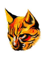 Cat head watercolor drawing isolated on white