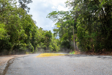 Steam rising from road near entrance to Curtain Fig National Park on the Atherton Tableland in Tropical North Queensland, Australia
