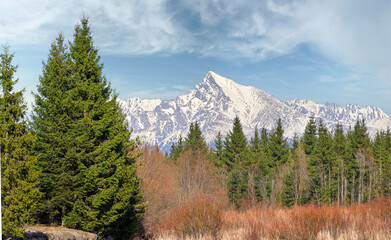 Mount Krivan peak (Slovak symbol) during spring, some snow still on top, with blue sky above, coniferous trees and bushes in foreground