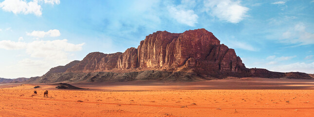 Two camels, walking on orange red sand of Wadi Rum desert, large mountains with blue sky above background