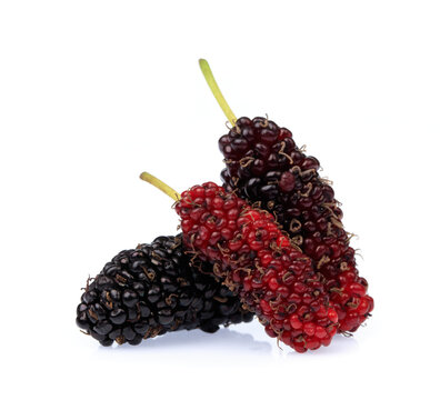 Mulberry isolated on white background