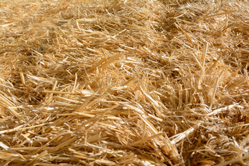 dry mown straw close-up, abstract background, blur