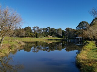 Beautiful morning view of a peaceful pond in a park with reflections of deep blue sky and tall trees, Fagan park, Galston, Sydney, New South Wales, Australia