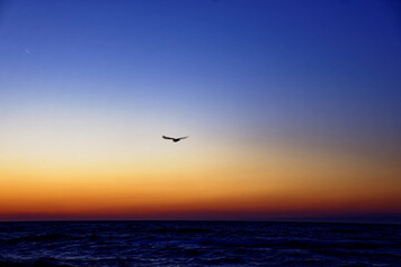 Obraz na płótnie Canvas Beautiful sea in the early morning
