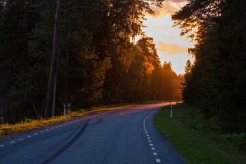 road in sunset light