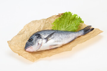Raw Dorada fish  for cooking