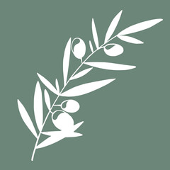 Fototapeta na wymiar Graphic silhouettes of olive tree branches