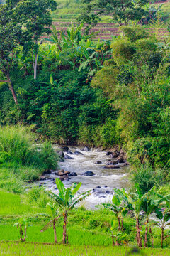 The happy valley at Bandung