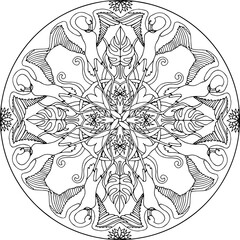 Mandala Flamingo Monstera