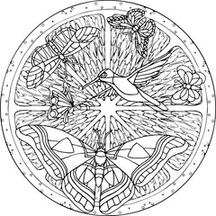 Mandala Orange Butterflies Hummingbird