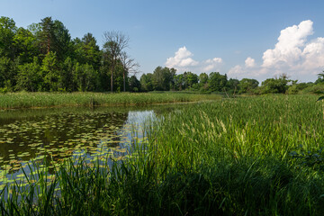 Wild river with reflections