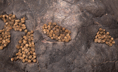 Gran Canaria, Textures of rocks at El Confital beach on the edge of Las Palmas
