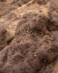 Gran Canaria, Textures of rocks at El Confital beach on the edge of Las Palmas