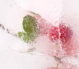 Fototapeta premium Small red plums frozen within a block of ice