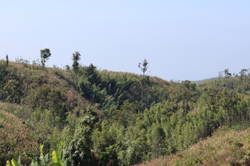 Nice scene of keokaradong