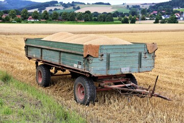 hay bales in a field