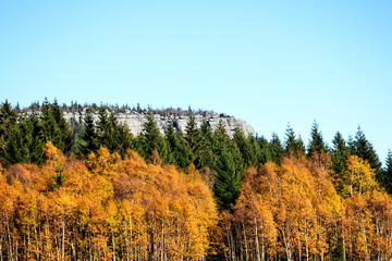 Góry stołowe na tle jesiennych brzóz 