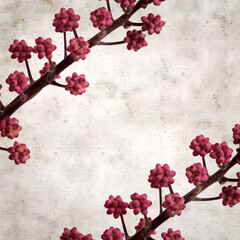 textured stylish old paper background, square, with Australia umbrella tree fower buds