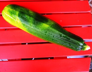 eine riesen Zucchini auf einem roten oder blauen Hintergrund