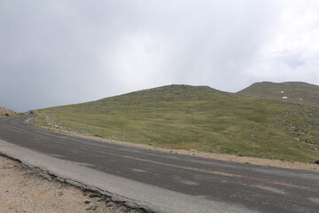 Mount Goliath Natural Area, Mount Evans Colorado