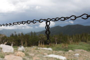 Mount Goliath Natural Area, Mount Evans Colorado