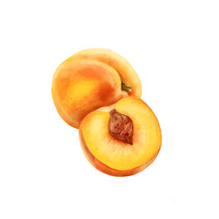 Naklejka na ściany i meble Realistic illustration of a peach and half of a peach isolated on a white background. Hand-drawn computer graphics. Create designs for food, yoghurt, juice, nutritional supplements, banner ads.