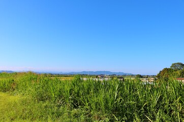 Fototapeta premium 空 田舎 のどか 風景 栃木