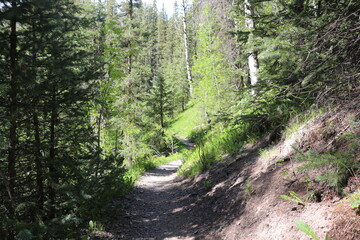 Mount Sneffels blue lake trail Ridgway Colorado