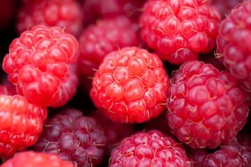  background texture ripe juicy berry raspberry closeup