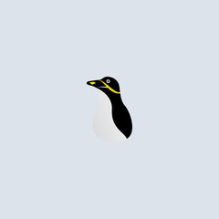 vector illustration of Penguin Logo template design. flat design